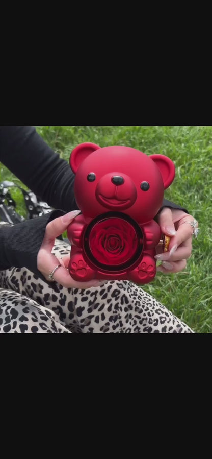 Boîte à Bijoux Ourson ❤️